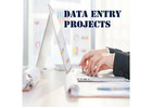 Data Entry Projects in Ascent BPO