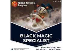 Black Magic Specialist in Marathahalli