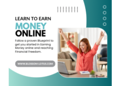 Earn $900 a Day and Break Free from the 9 to 5 Grind