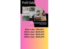 $300 a Day Digital Marketing Business