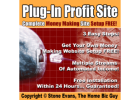 Get Your 6-Figure Income System NOW!