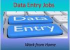 Daily Data Entry Work for form filling | Contact now 7708244092