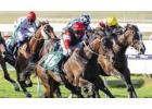 Master Different Horse Racing Bets with Proven Sports Betting Tips