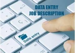 US Form Filling Project - Bulk & Single-System Data Entry 7708244092