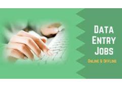 Genuine US Medical Data Entry Project - 11 Month Contract  7708244092