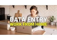 Home-Based Data Entry Job | 7708244092