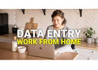 US Form Filling Project - Bulk & Single-System Data Entry 7708244092