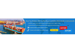 Why Are B2B Portal Important for Business Growth?