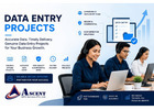 Data entry project provider