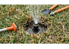 Smart Water Management Solutions for Texas Landscapes